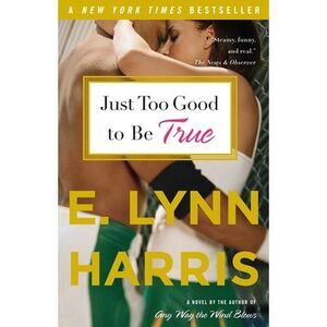 Just Too Good to Be True -- E. Lynn Harris